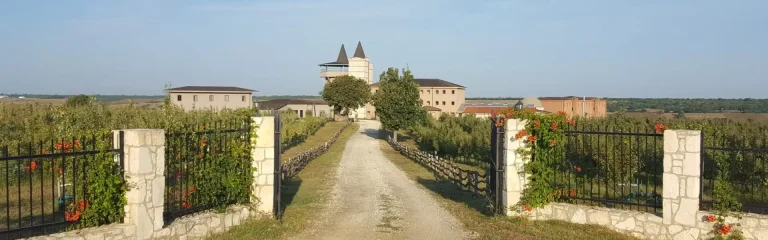 Arcadia