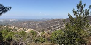 Ma'adra