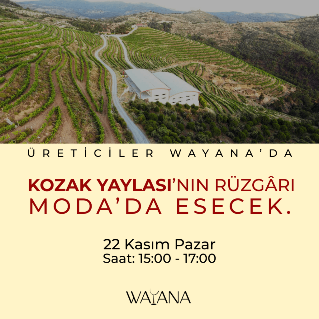 WAYANA Kadıköy şarap etkinlikleri ve tadım atölyesi