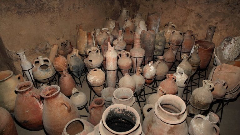 Ephesos şarap ve bağcılık